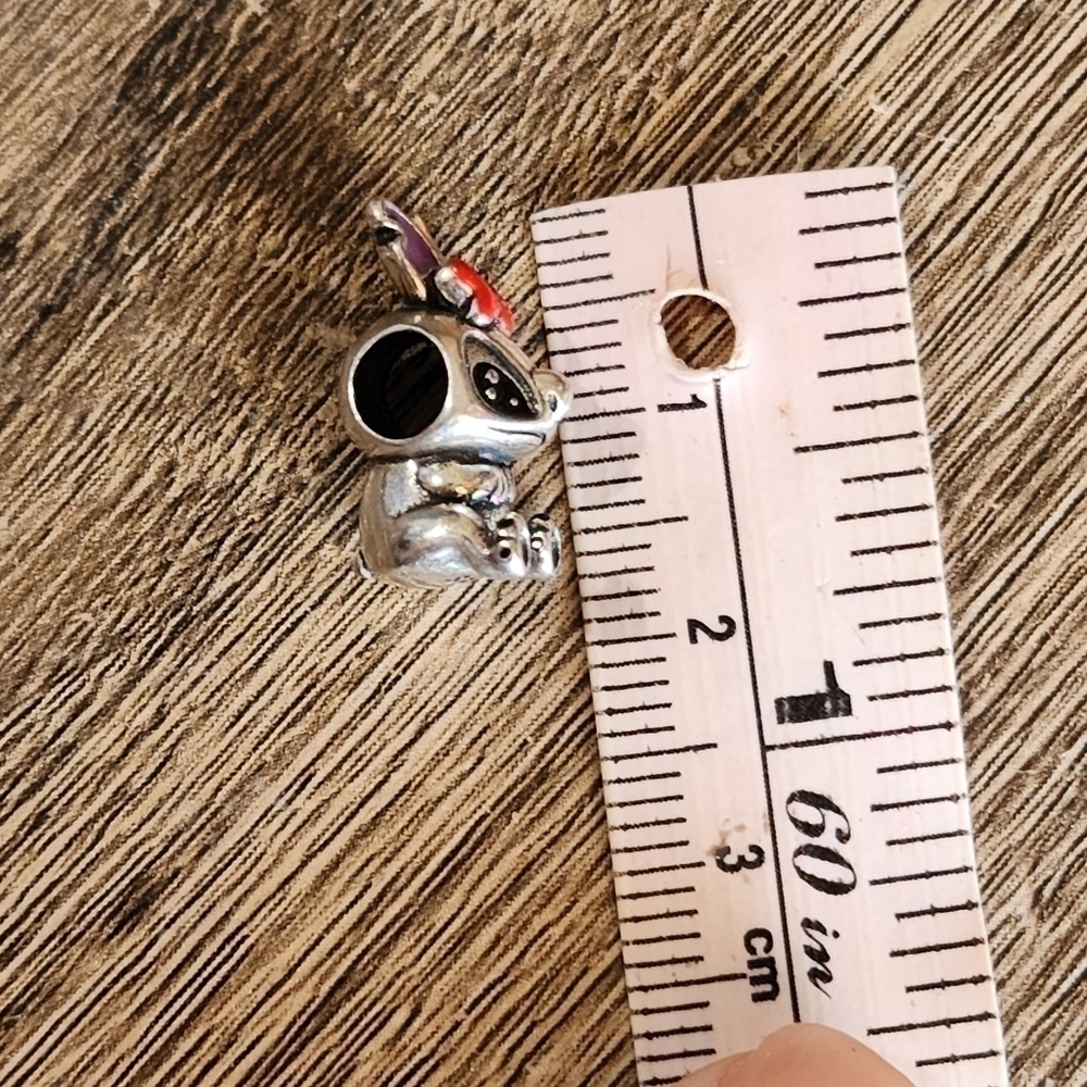 CHARM - Picture 4 of 5